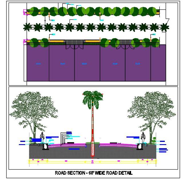 60' Road Design with Pathways, Green Areas & Divider in AutoCAD